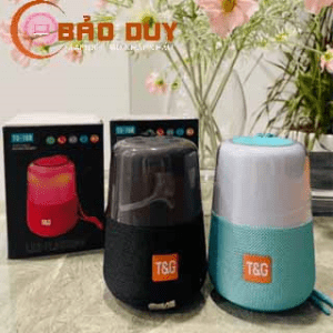 LOA TG168 Bluetooth Led Flasing